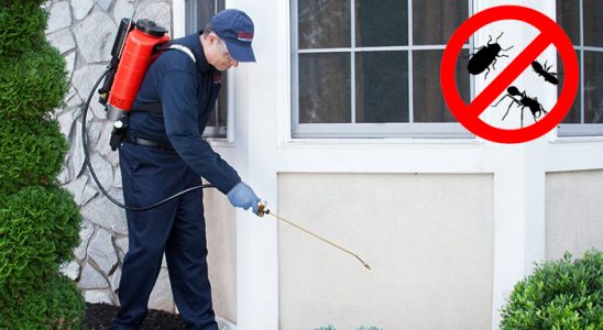 Gölbaşı Kene İlaçlama böcek ilaçlama ve haşere kontrolü — ilaclama-tr.com